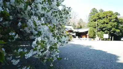 栃木縣護國神社のその他建物