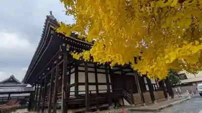 本法寺(京都府)