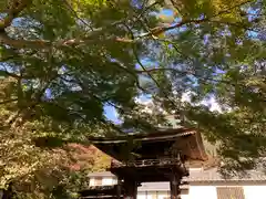 普門寺(切り絵御朱印発祥の寺)の建物その他