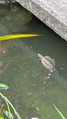 宝蔵寺(京都府)