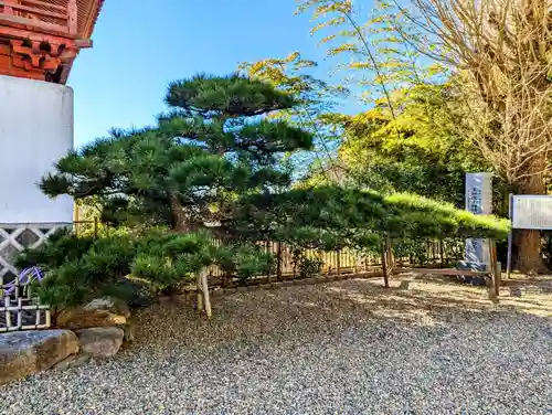 長福寺の庭園