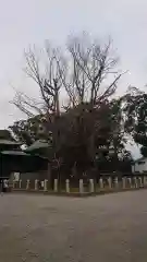 葛飾八幡宮の建物その他