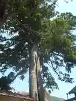 大日堂(愛知県)