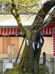 笠間稲荷神社の庭園