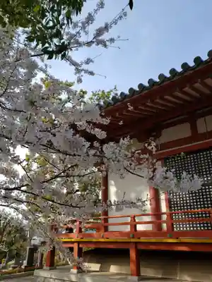 宝仙寺のその他建物