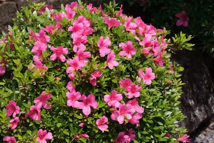 大鏑神社の庭園