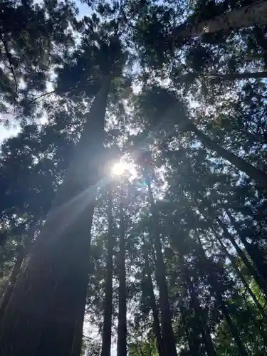 太平山神社(栃木県)