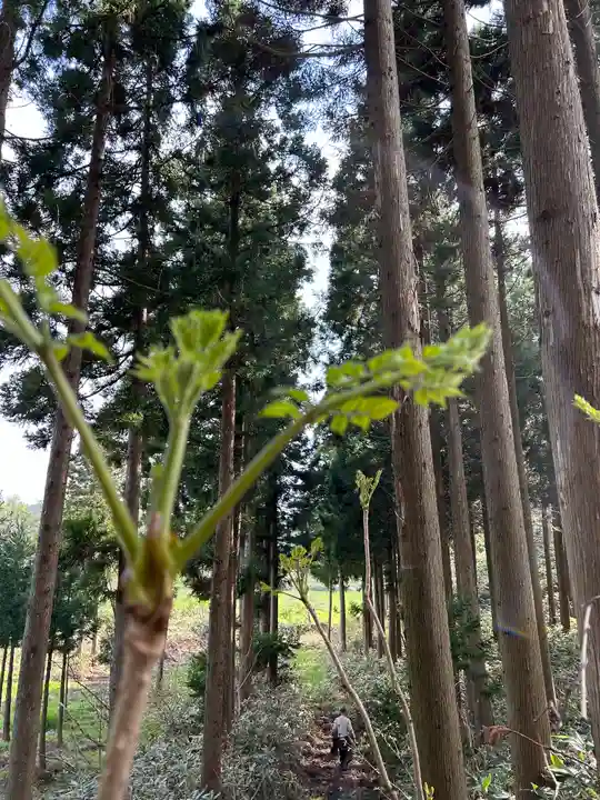 🌸乙部八幡神社(北海道)