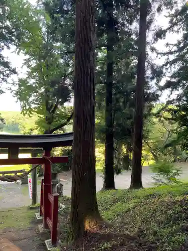 大宮温泉神社の鳥居