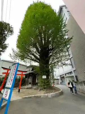 稼穡稲荷社(東京都)