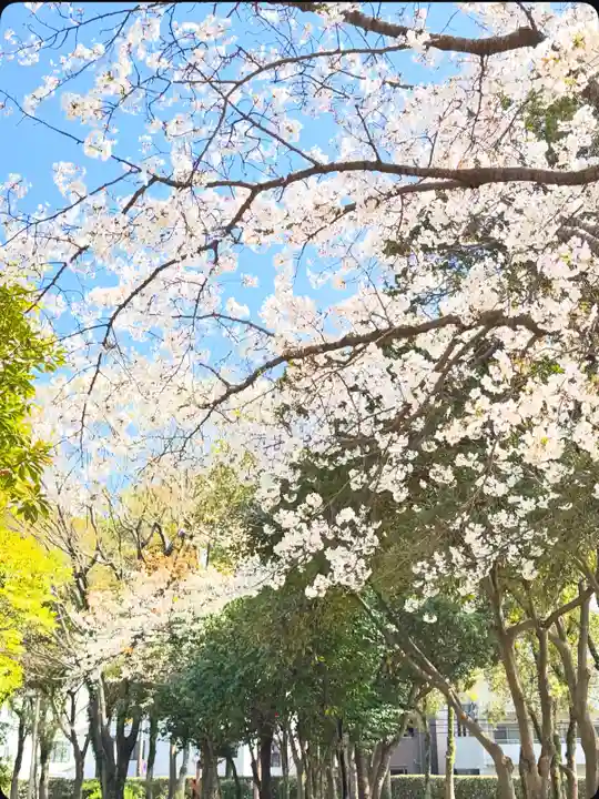 十日恵比須神社(福岡県)