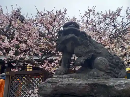 湯島天満宮(東京都)