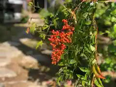 木舟山　順教寺の自然