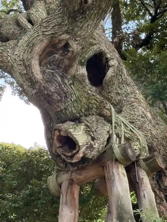 九重神社(埼玉県)