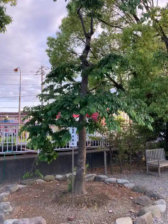 白旗神社の自然