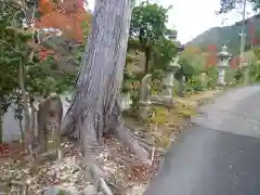 国束寺の建物その他