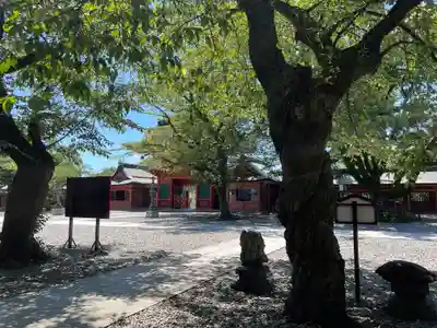 富士山本宮浅間大社(静岡県)