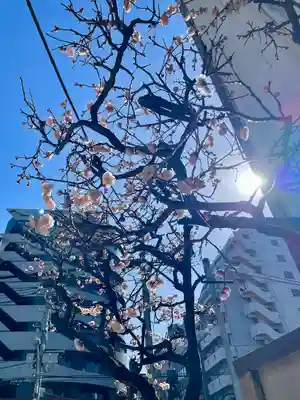 神楽坂安養寺(東京都)