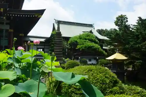 乗蓮寺の景色