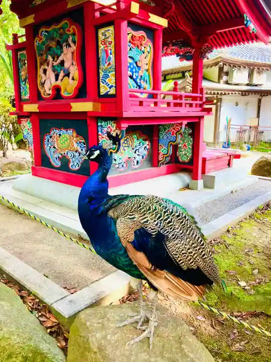 楽法寺(雨引観音)(茨城県)