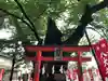 秩父今宮神社の自然