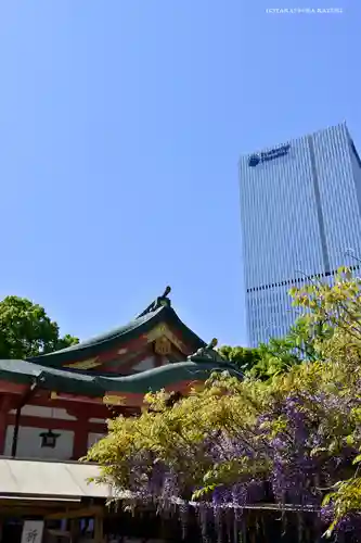 日枝神社の本殿・本堂