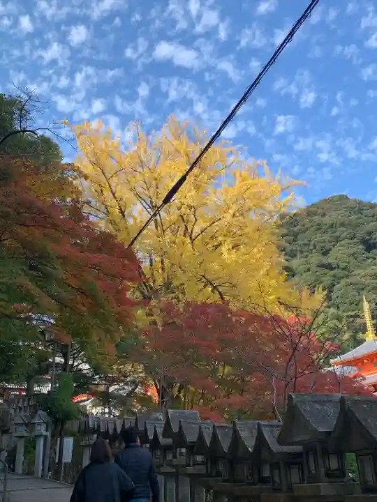 朝護孫子寺(奈良県)