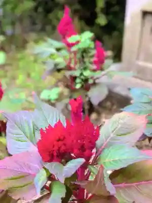 聖徳寺(東京都)