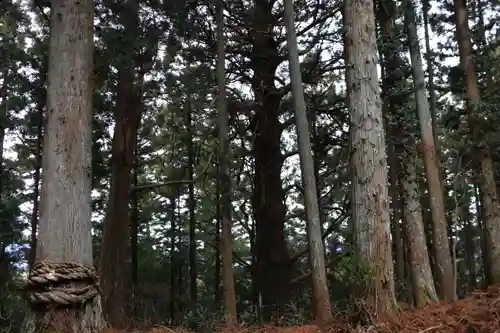 飯豊神社の自然