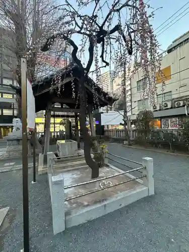 柏神社(千葉県)