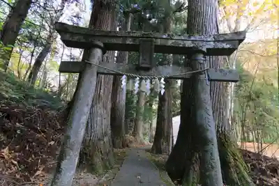 隠津島神社の鳥居
