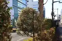 愛宕神社の周辺