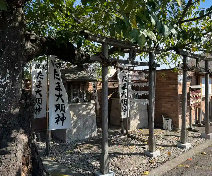 たま神社の御朱印