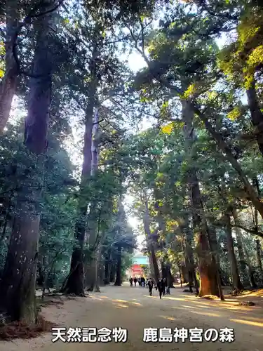 鹿島神宮(茨城県)