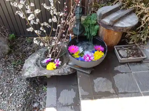 九頭龍神社(東京都)