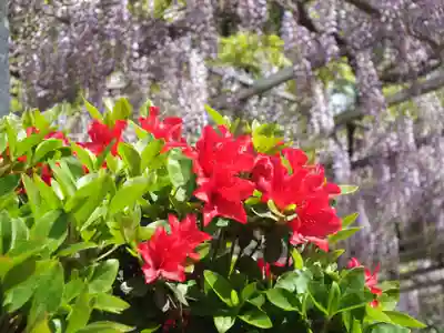 三大神社の自然