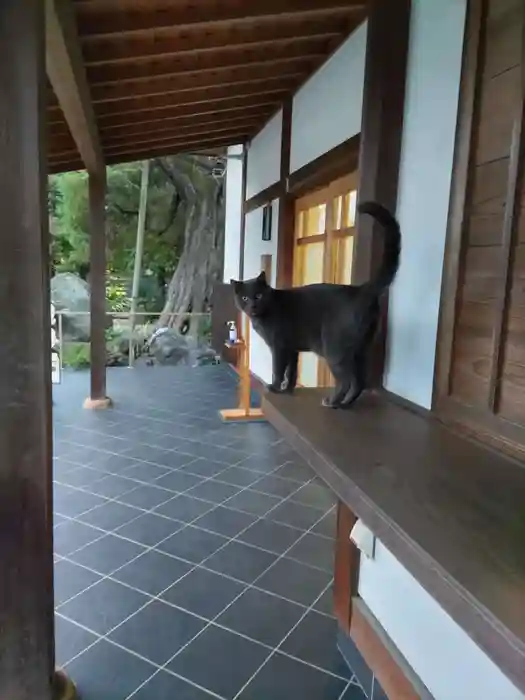 観音寺の建物その他