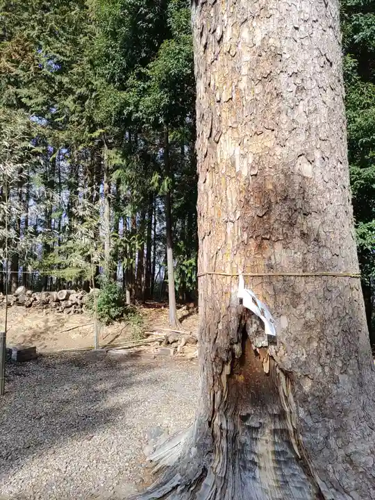 滑川神社 - 仕事と子どもの守り神(福島県)
