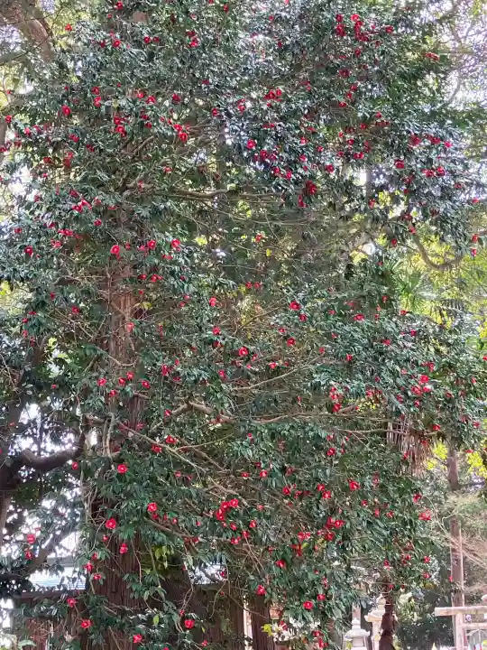 賀茂神社(滋賀県)