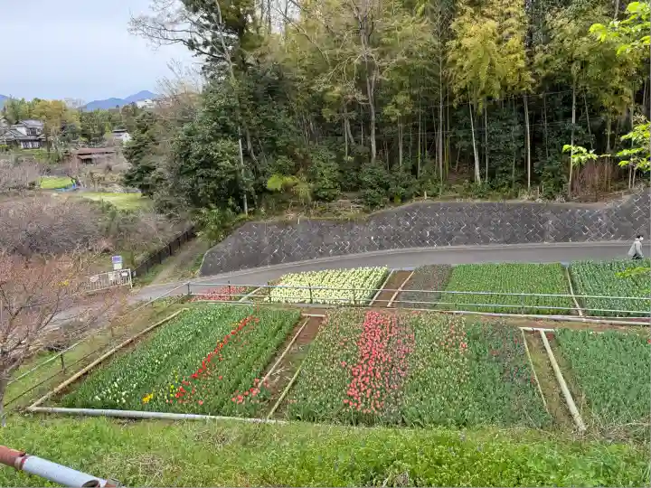泉蔵寺(神奈川県)