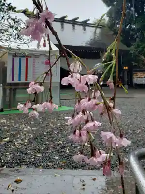 阿佐ヶ谷神明宮(東京都)