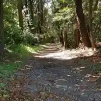 沼尾神社の自然