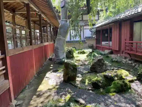 十輪寺(京都府)