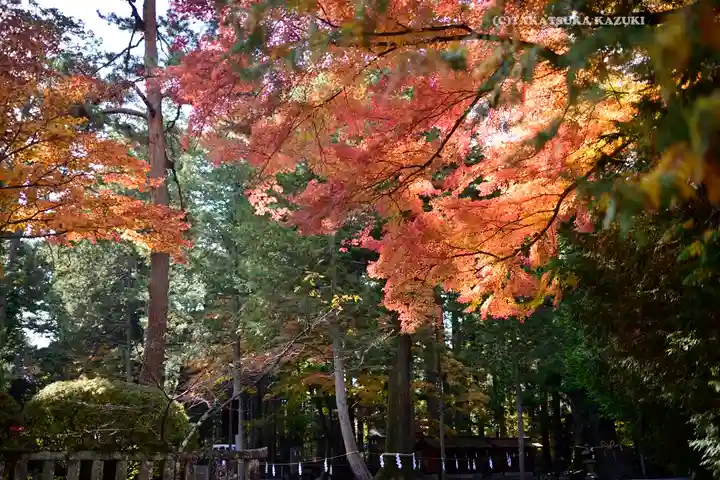 北口本宮冨士浅間神社(山梨県)