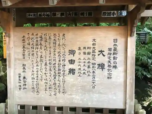 來宮神社(静岡県)