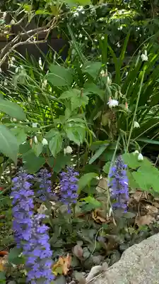 和光寺(大阪府)