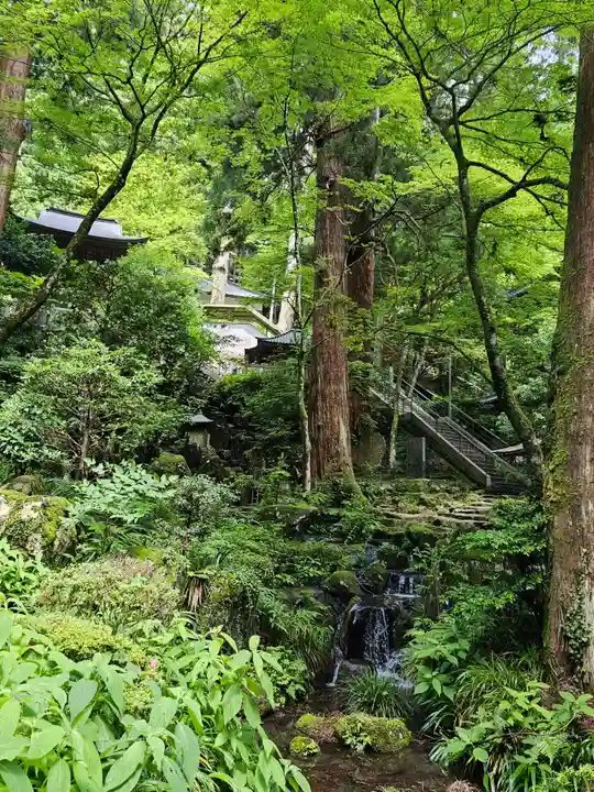 最乗寺(道了尊)(神奈川県)