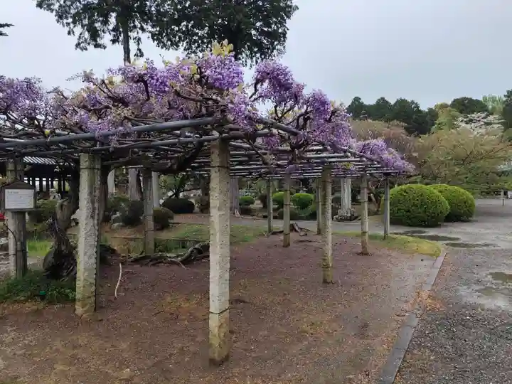浄土寺(兵庫県)