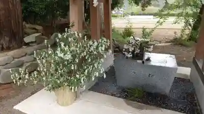 高司神社〜むすびの神の鎮まる社〜(福島県)