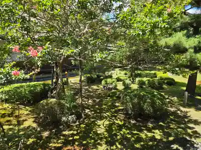 大覚寺(京都府)